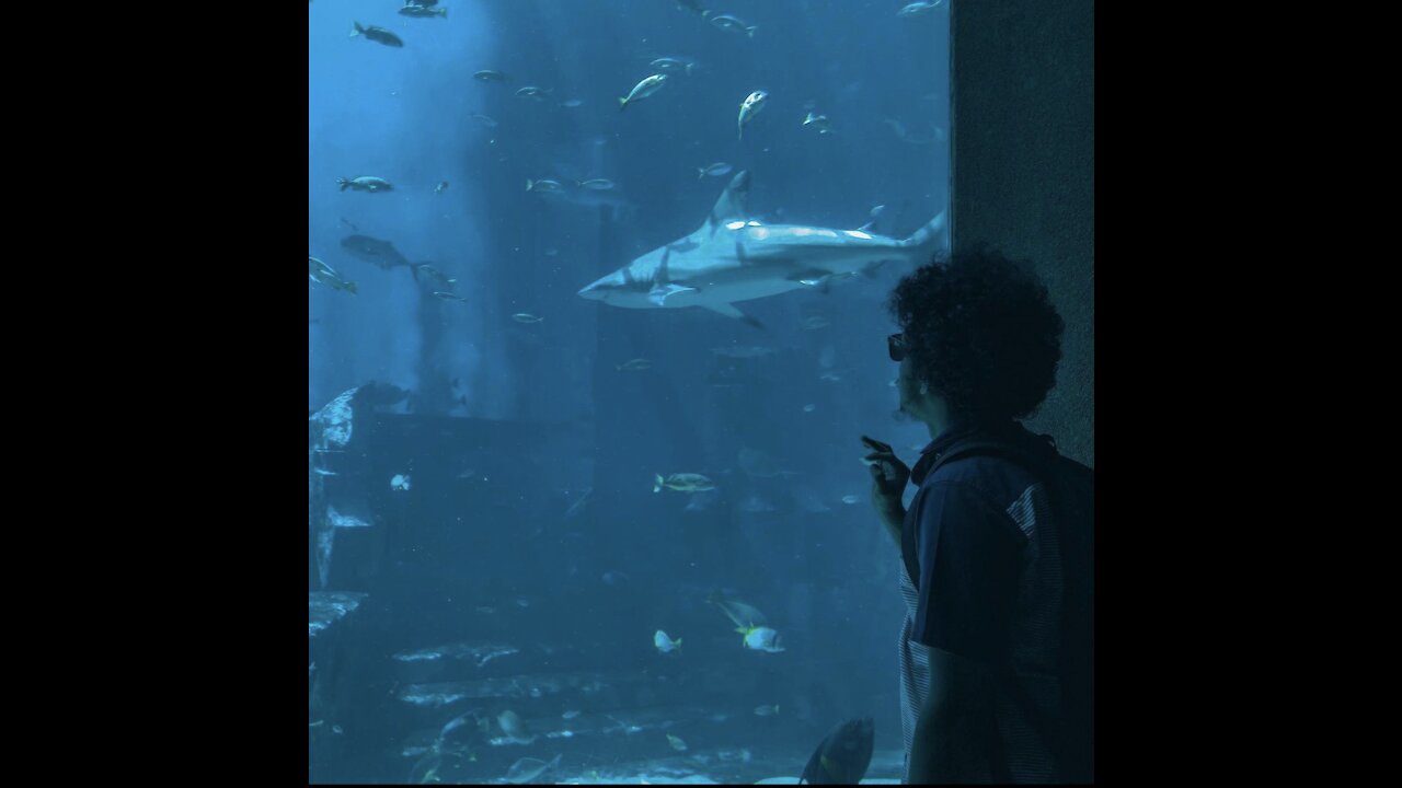 World Largest Aquarium