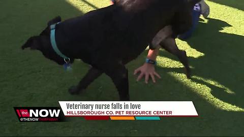 Hillsborough County vet tech rescues, falls in love with injured dog