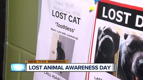 MADACC reminds residents of "Lost Animal Awareness Day"