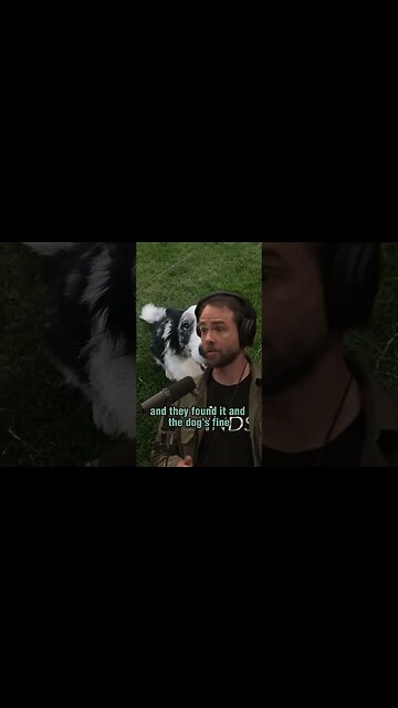 Using Chat GPT to Save a Dog's Life when doctors failed - Joe Rogan with Bill Ottman