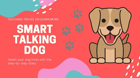 Cute Smart Talking Dog