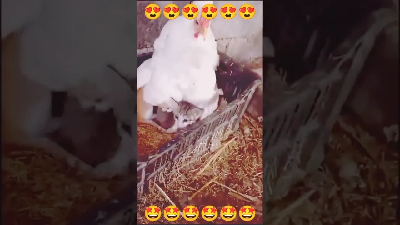 ITS VERY COLD 🥶🥶🥶 OUTSIDE 🥶🥶