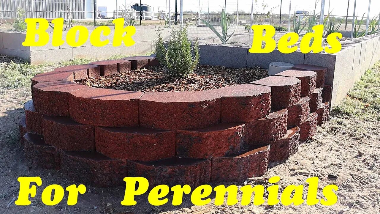 Building Perennial Garden Beds With Block | Raised Beds for Desert Gardening