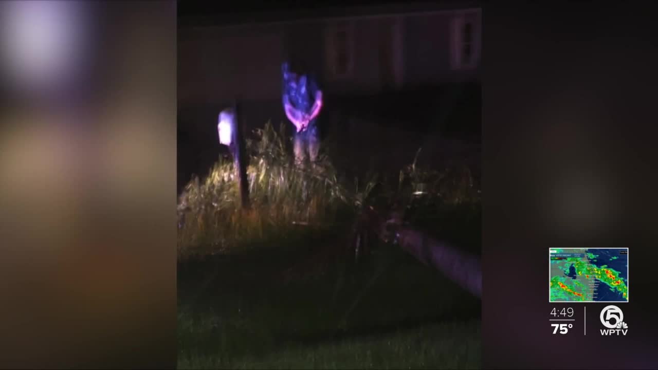 Port St. Lucie officer breaks out own tools after tree falls in road