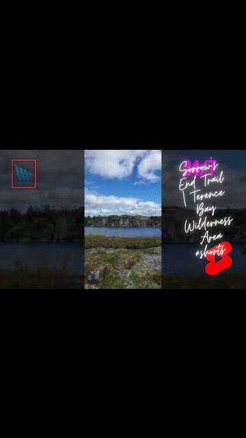 Sorrow's End Trail | Terence Bay Wilderness Area #shorts (comment, like and subscribe)