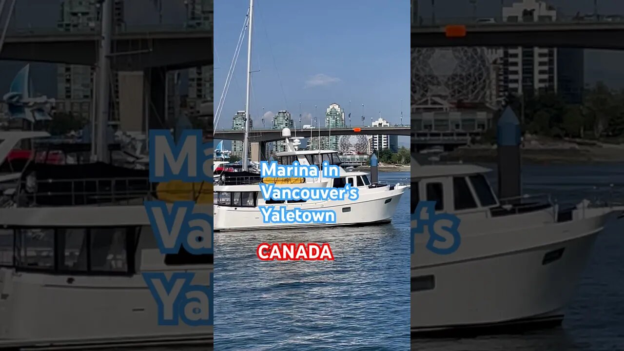 Vancouver Boats and Seawalk #travel #trending #vancouver #shortvideo