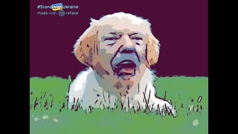 The Ultimate Donald Trump Dog Meme! 🐶