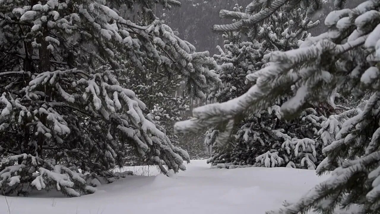 Relieve Insomnia with Snow Storm Sound [ Nature Sound | Sleep | Study ]