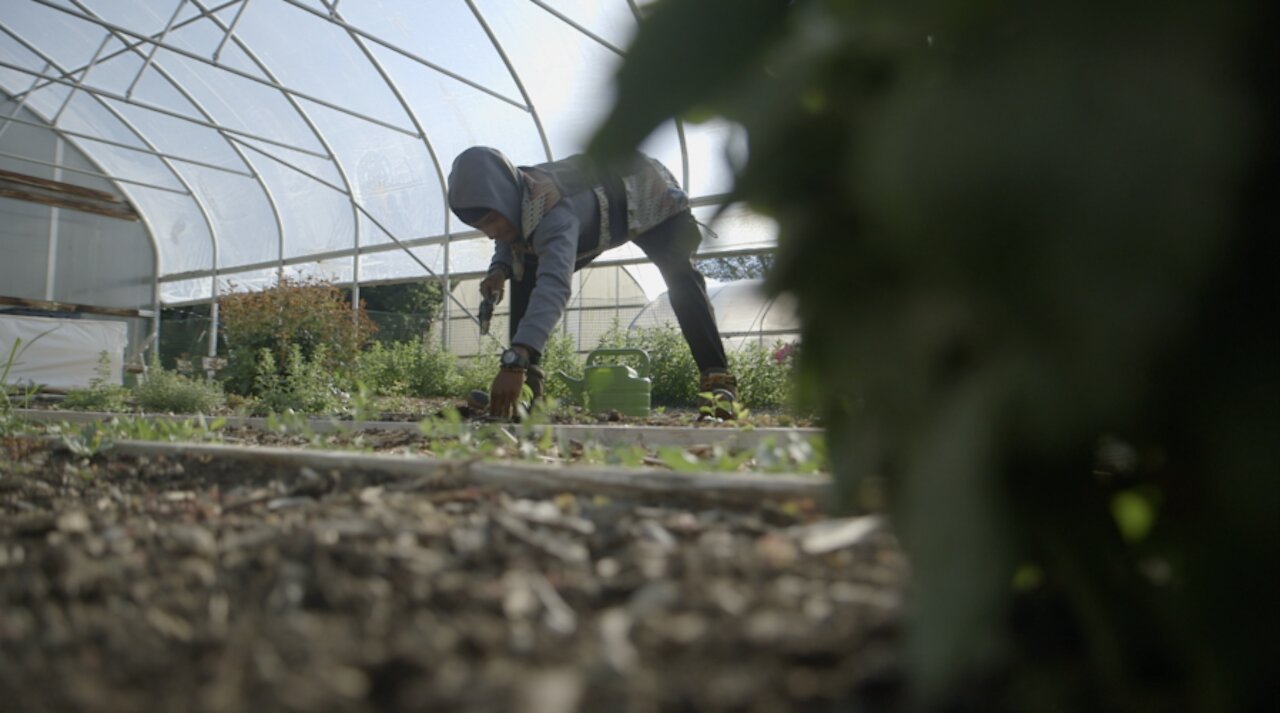 Activists fight for land to use as green space in Cleveland