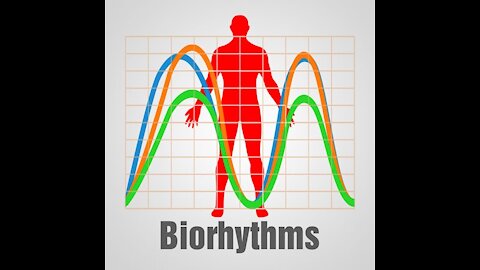 Better than Psychics and Tarot Cards - Biorhythms