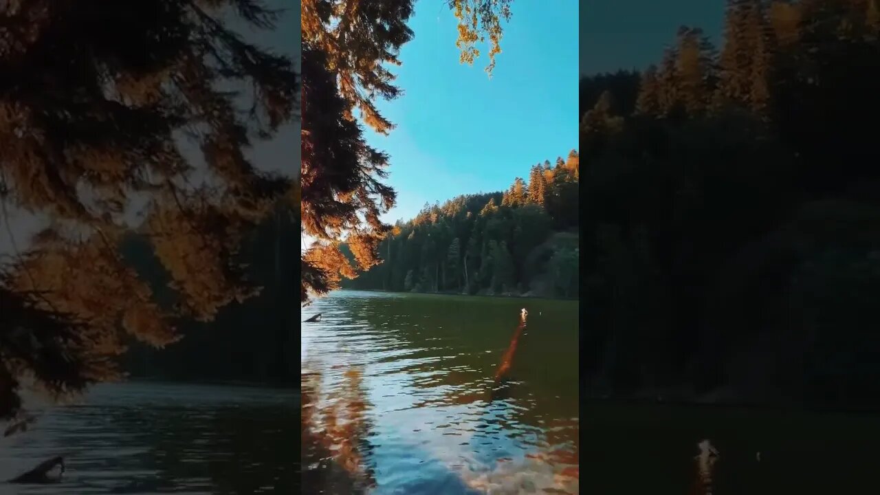 Curta A Paisagem ...Curta a Vida !!