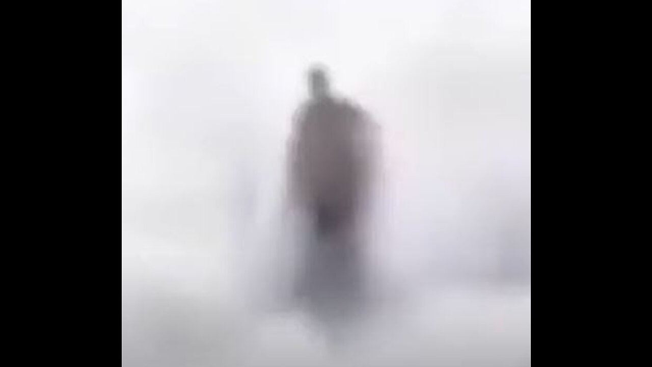 Video of a Humanoid Appearing from Brazilian Waterfall