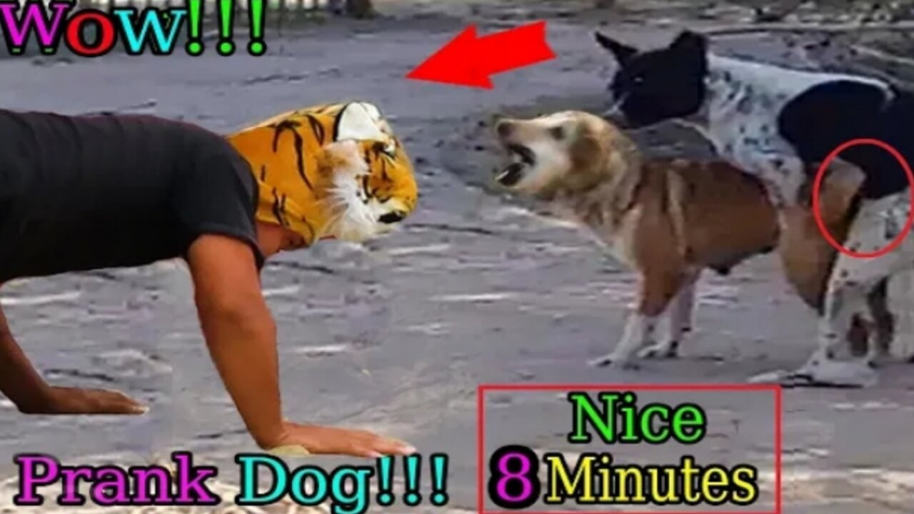 How funny😂😂 Wow Nice!!! Fake Tiger Prank Dogs Run Very Funny Try To Not Laugh Challenge