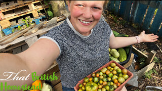 Preserving the Harvest: Allotment Garden