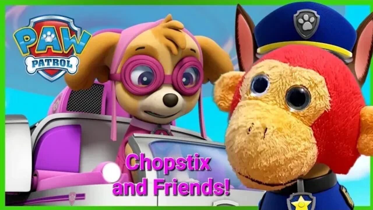 Chopstix and Friends! PAW Patrol: rescue world part 13! #pawpatrol #skye #chopstixandfriends