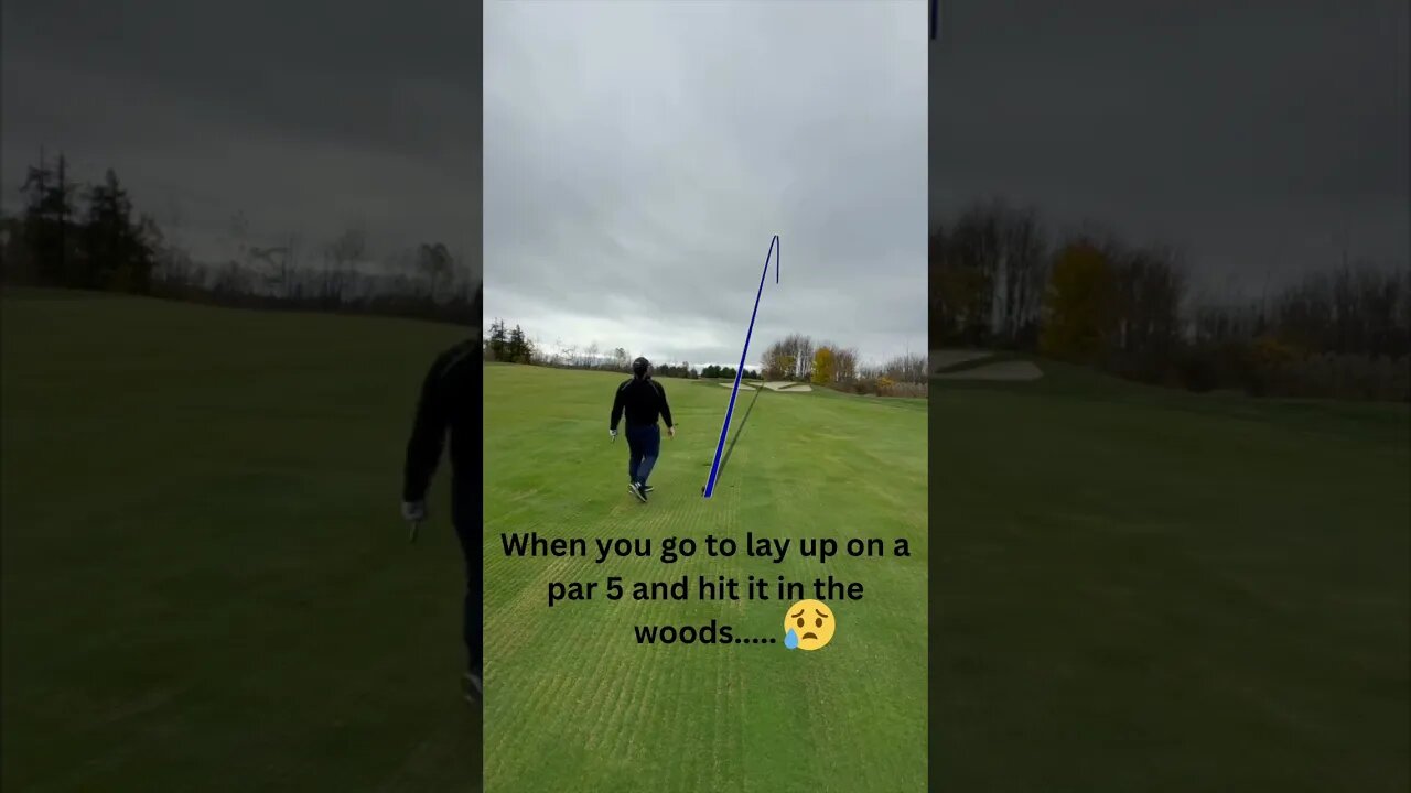 Sometimes you just make a bad swing….. #shorts #subscribe #golf #youtubeshorts #viral