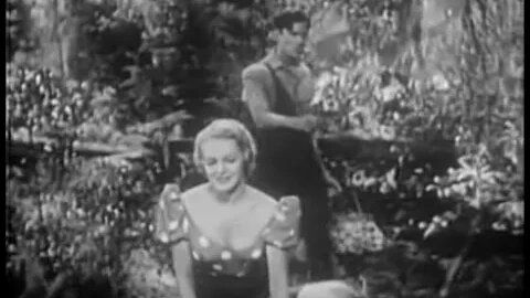 Lil Abner. Back to the past with Beerdrinknaussie.