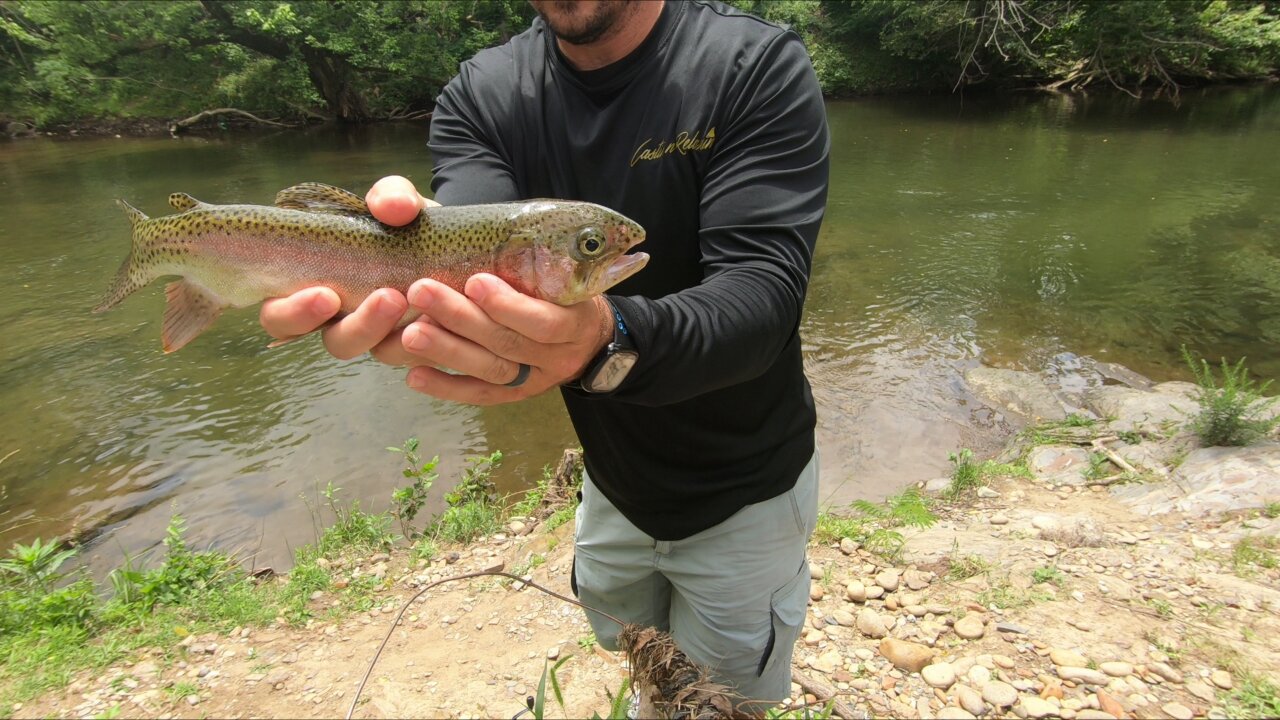 Fishing the Pigeon Forge greenway. Caught my FIRST rainbow trout!