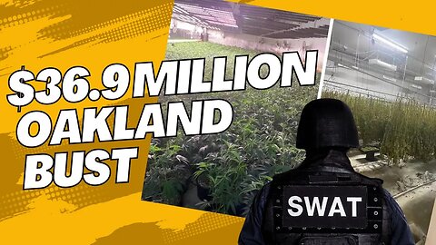 Massive Illegal Marijuana Warehouse Bust in Oakland: $36.9 Million Haul High at 9 News Update