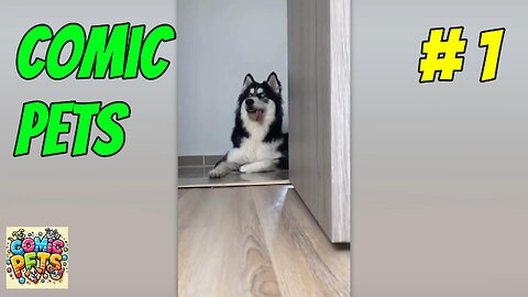 COMIC PETS #1