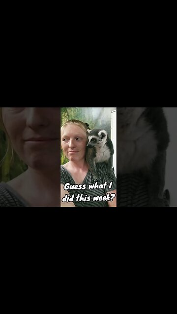 I Got To Hold A Ring-Tailed Lemur! #shorts