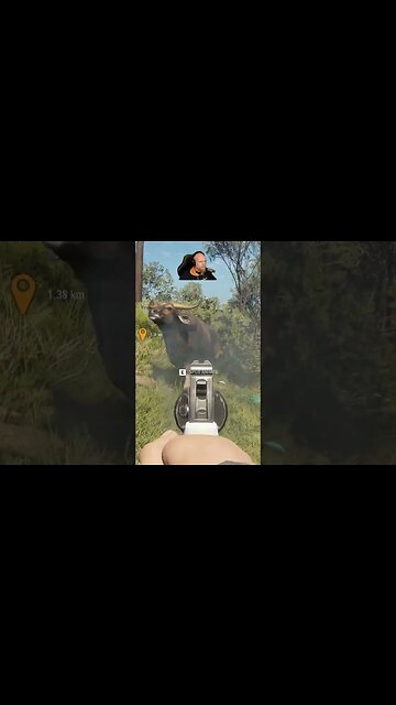 Wanted To Be Aggresive So I Did To #callofthewild #cotw #game #scandinavianwolf #shorts