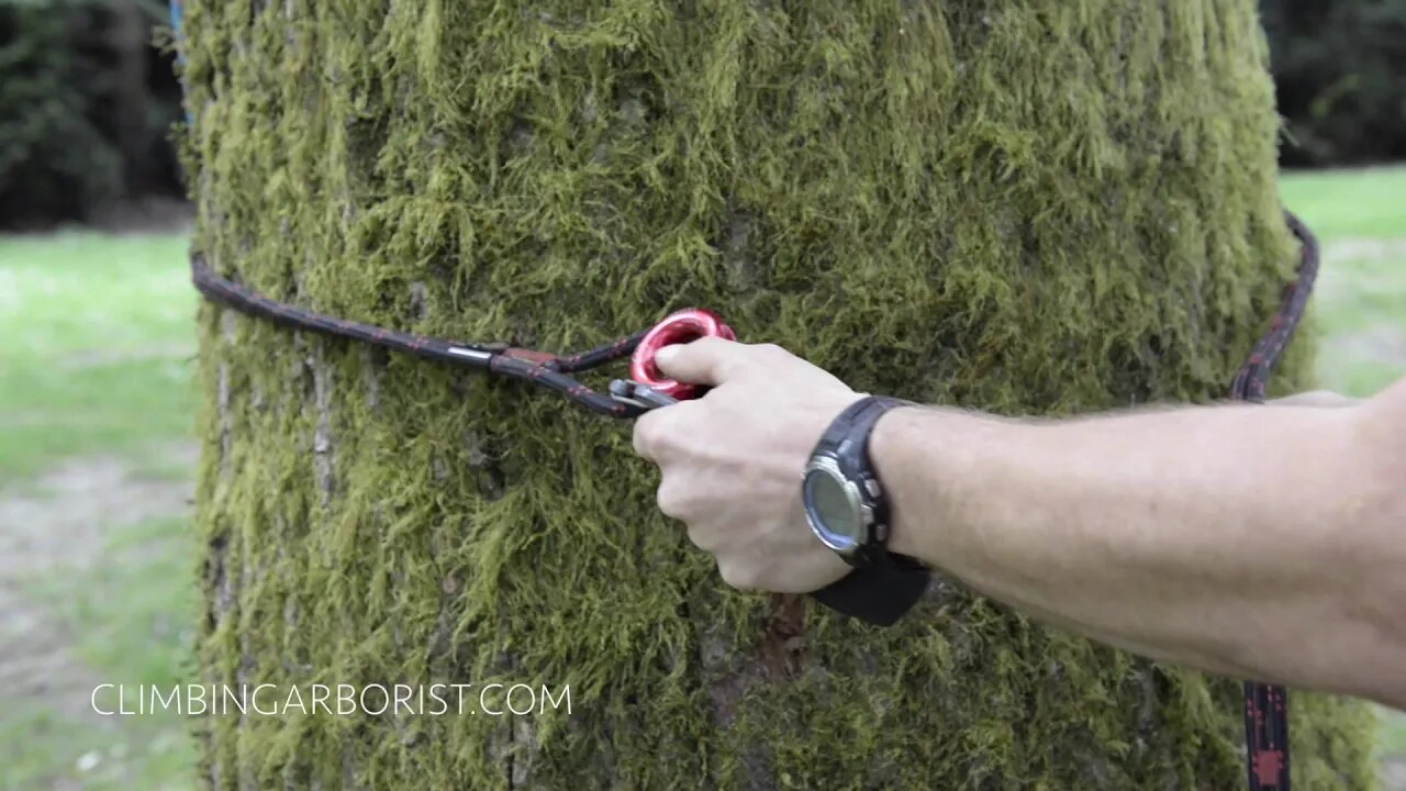 Arborist tips and tricks | Adding a weight to your base anchor
