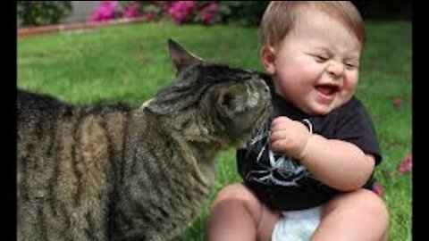 Funny Babies Laughing Hysterically at Cats Compilation