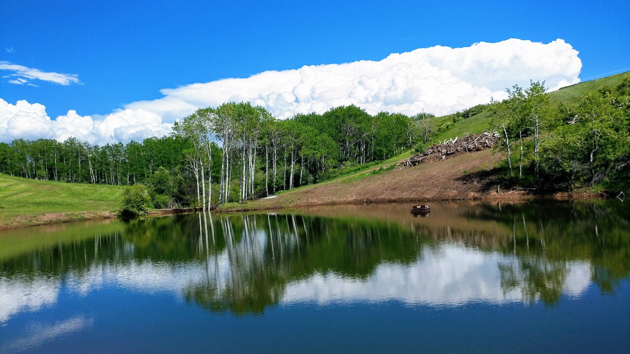 Stocking 3 Inch Rainbow Trout in a Perfect Montana Pond - From Hatchery to the Water