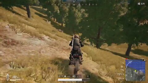 pistol whipped