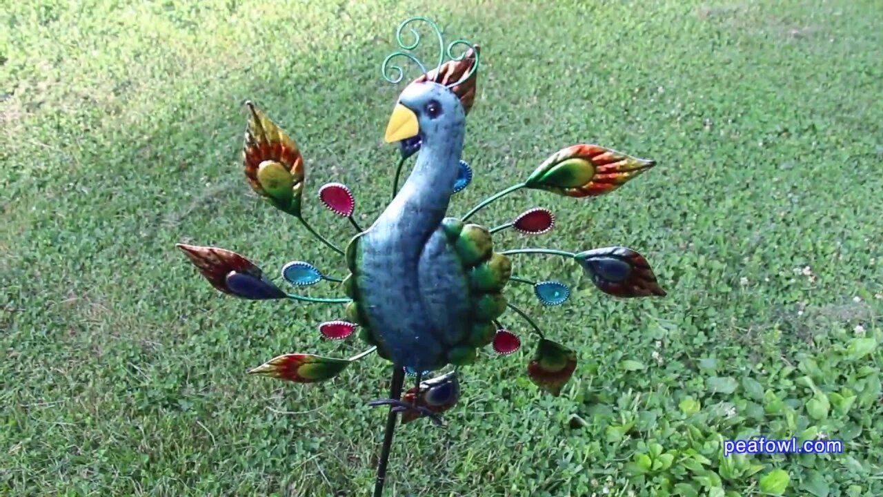 Peacock Lawn Ornaments, Peacock Minute, peafowl.com