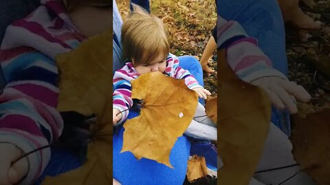 Leaf Fun