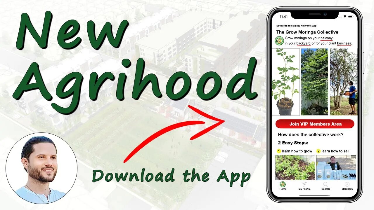 Building a Stronger Community: Exploring the Benefits of Joining The Grow Moringa Collective