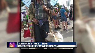 Search for missing therapy goat on Detroit's west side