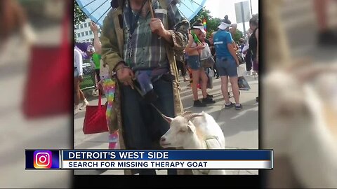 Search for missing therapy goat on Detroit's west side