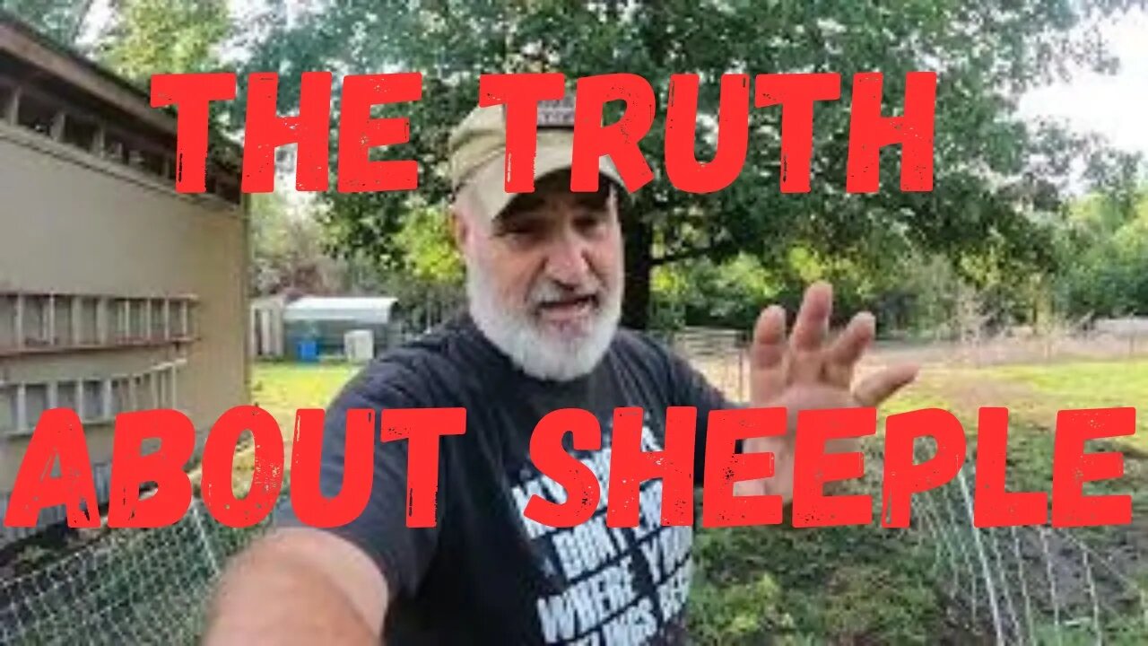 Decoding The Word Sheeple: Decoding The Meaning