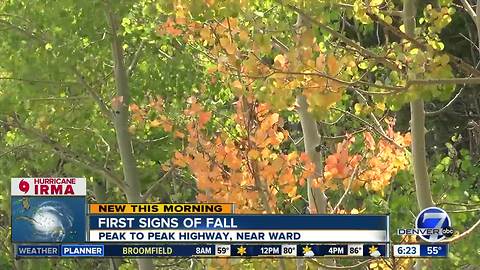 First signs of fall showing in high country