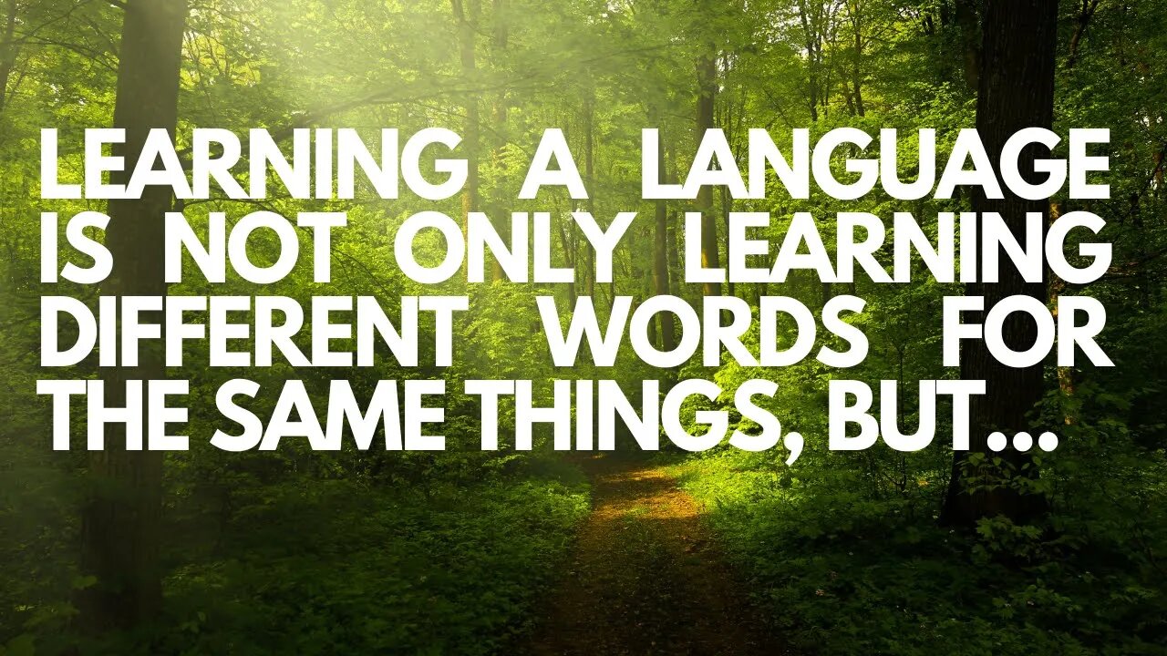 Famous quotes about language learning.