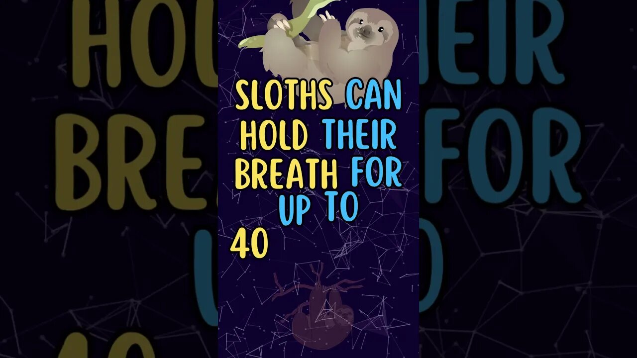 🦥Discover Fascinating Animal Facts👀 #shorts #shortsfact #animalfacts #sloth #breathholding