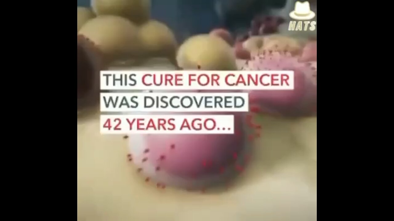Cancer Cure