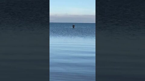 Boat Anchor Retrieval Success South Lake Tahoe Winter Conditions DIY