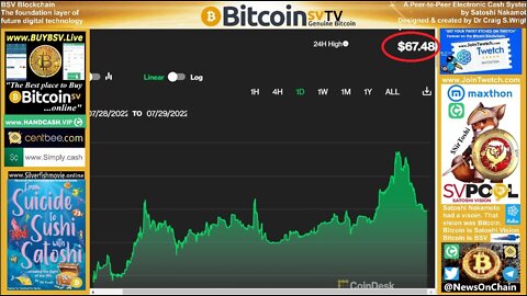 BSV 24hr High Of $67.48