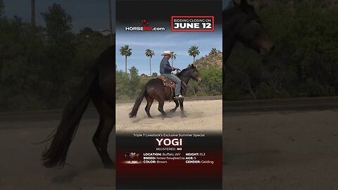 ＹＯＧＩ