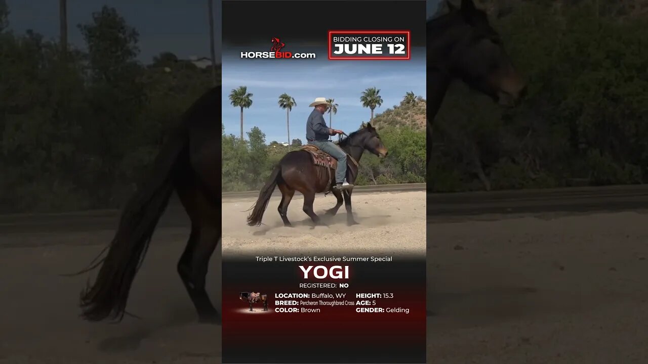 ＹＯＧＩ