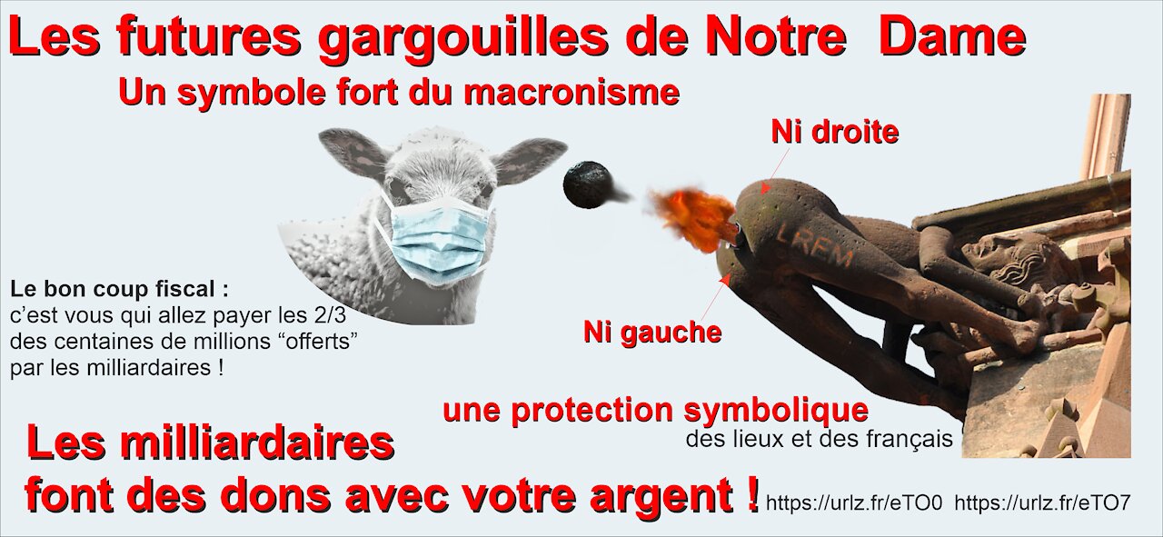 Macron : valet des multinationales et de Rothschild?