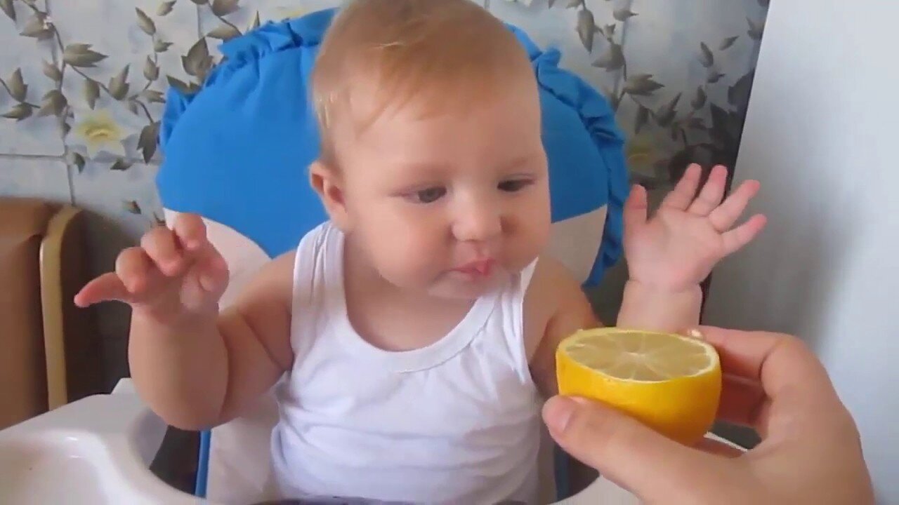 Babies Eating Lemons ll Funny Kids Videos