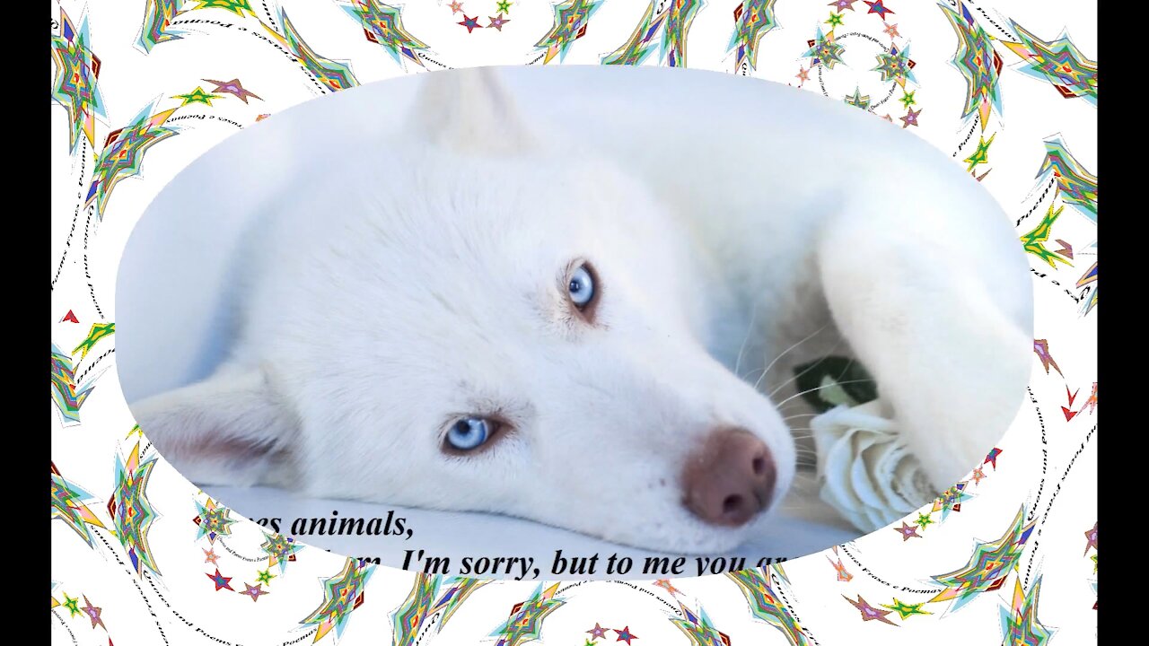 I love who love animals, if you not love them, to me you are someone too cold... [Quotes and Poems]
