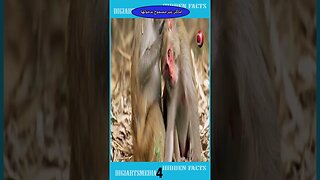 اماكن لا يسمح بدخولها في العالم 2023 - Places not allowed to enter in the world 2023