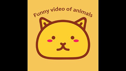 Funny cats
