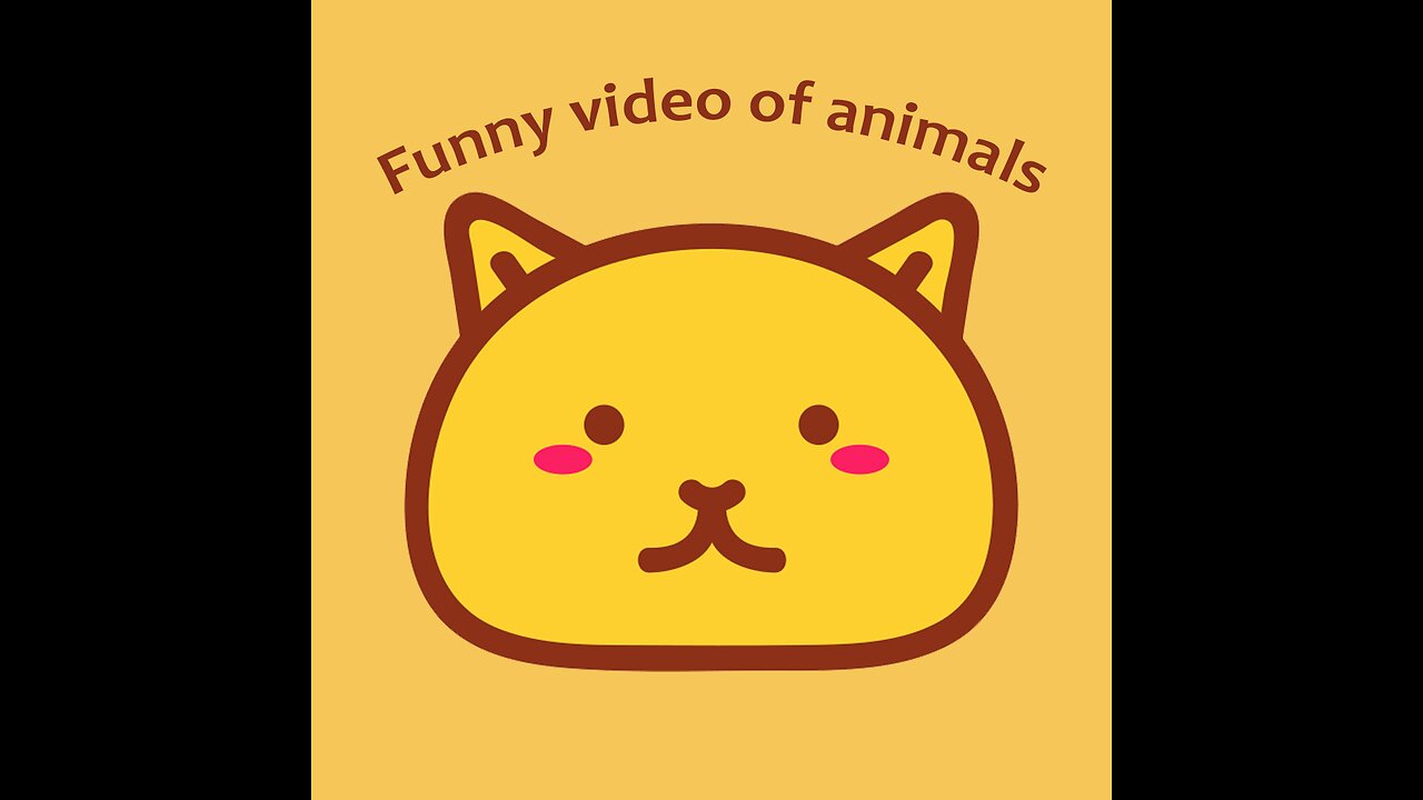 Funny cats